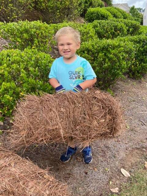 Stepping Stone Lawn Care - Pine Straw Mulch Delivery Installation - Flowery Branch Buford Georia GA